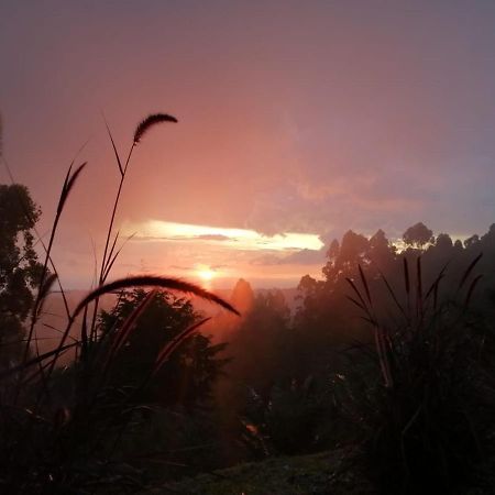 Hotel Natura Cocora Salento Luaran gambar