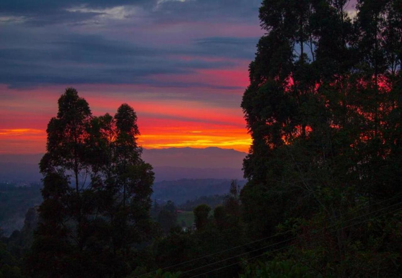 Hotel Natura Cocora Salento Luaran gambar