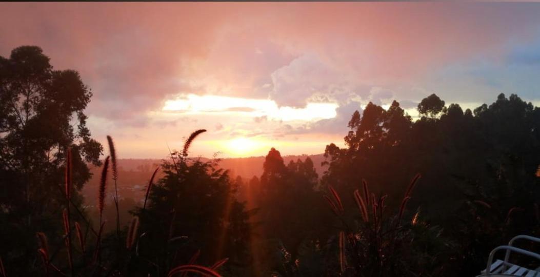 Hotel Natura Cocora Salento Luaran gambar