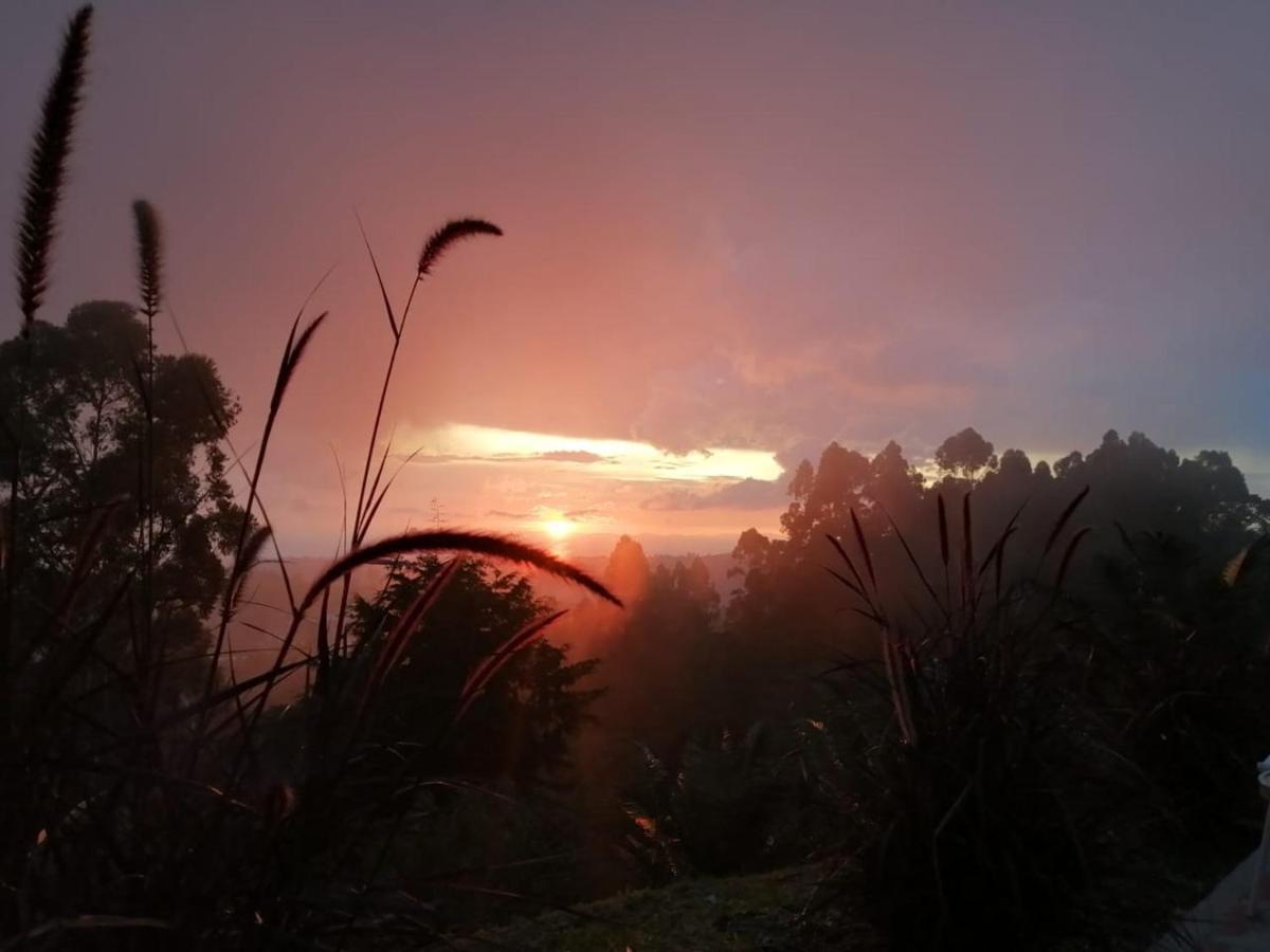 Hotel Natura Cocora Salento Luaran gambar